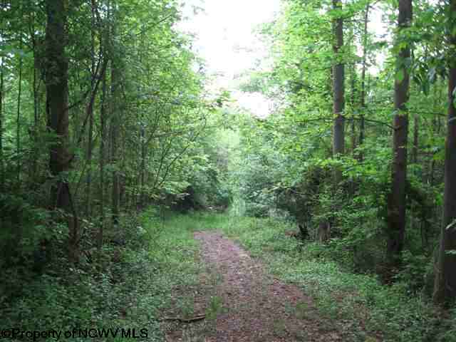 4.37-acres Stonewall Road Fairmont, WV 26554 - Photo 3 of 3 Gallery Image 3