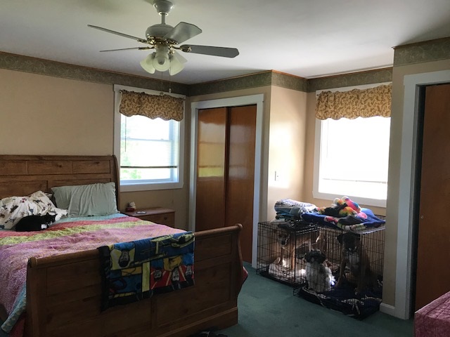 945 Collins Mill Road Newport Town, VT 05857 - Photo 19 of 22