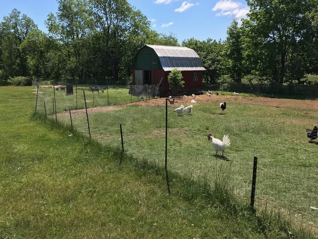 945 Collins Mill Road Newport Town, VT 05857 - Photo 5 of 22
