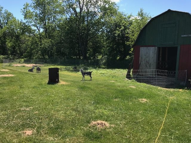 945 Collins Mill Road Newport Town, VT 05857 - Photo 7 of 22