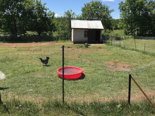 945 Collins Mill Road Newport Town, VT 05857 - Photo 8 of 22