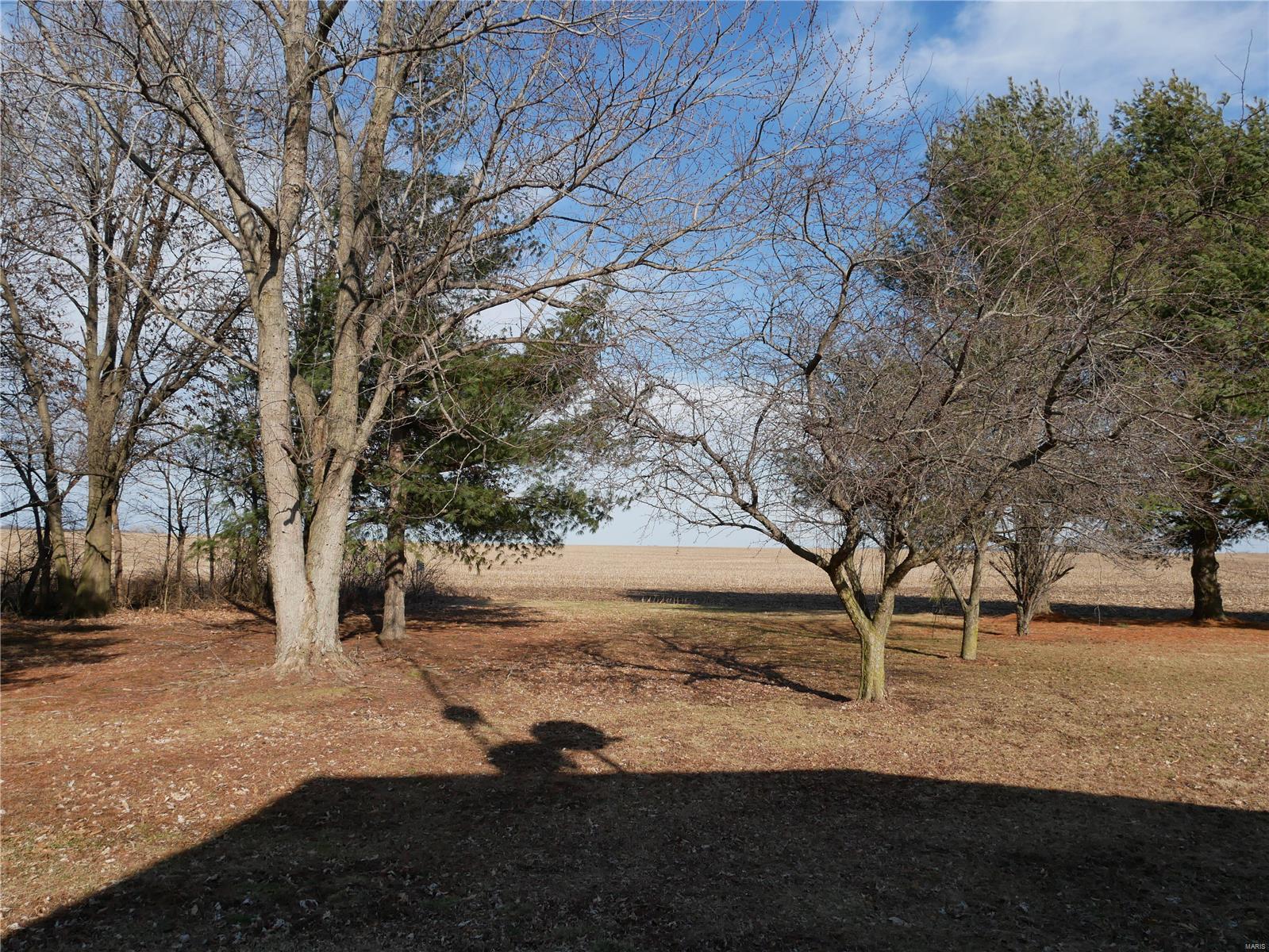 798 Rainmaker Trail Butler, IL 62015 - Photo 14 of 45 Gallery Image 14