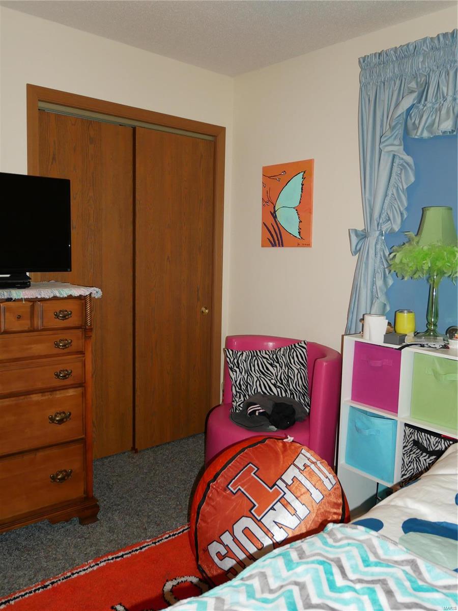 798 Rainmaker Trail Butler, IL 62015 - Photo 36 of 45 Gallery Image 36