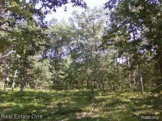 0 128th Rothbury, MI 49452 - Photo 11 of 16 Woods