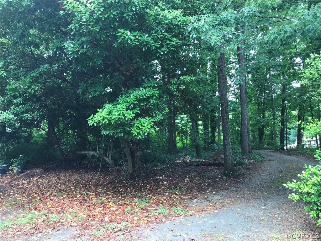 11716 Boyd Road Chester, VA 23831 - Photo 17 of 23 a view of a forest with trees in the background