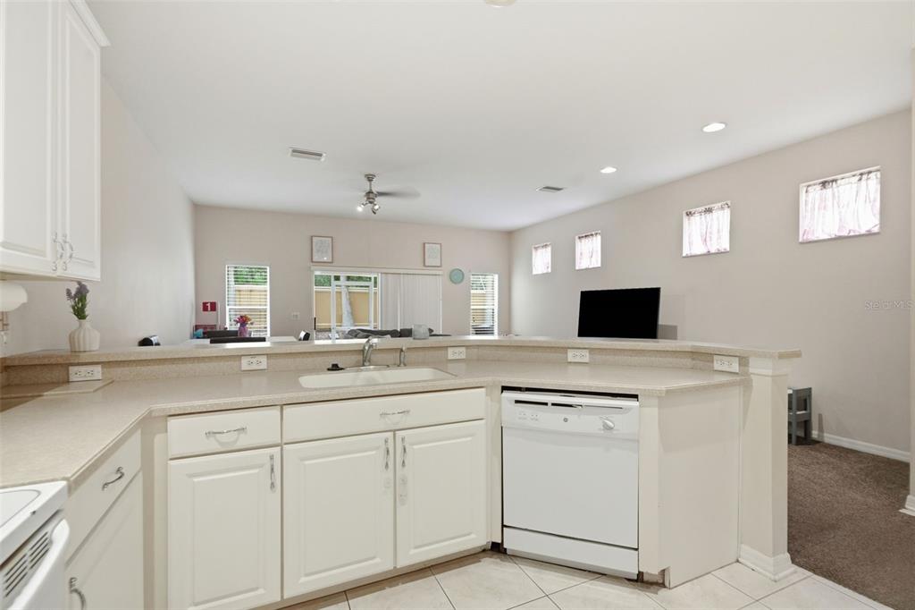 11828 Castine Street New Port Richey, FL 34654 - Photo 8 of 36