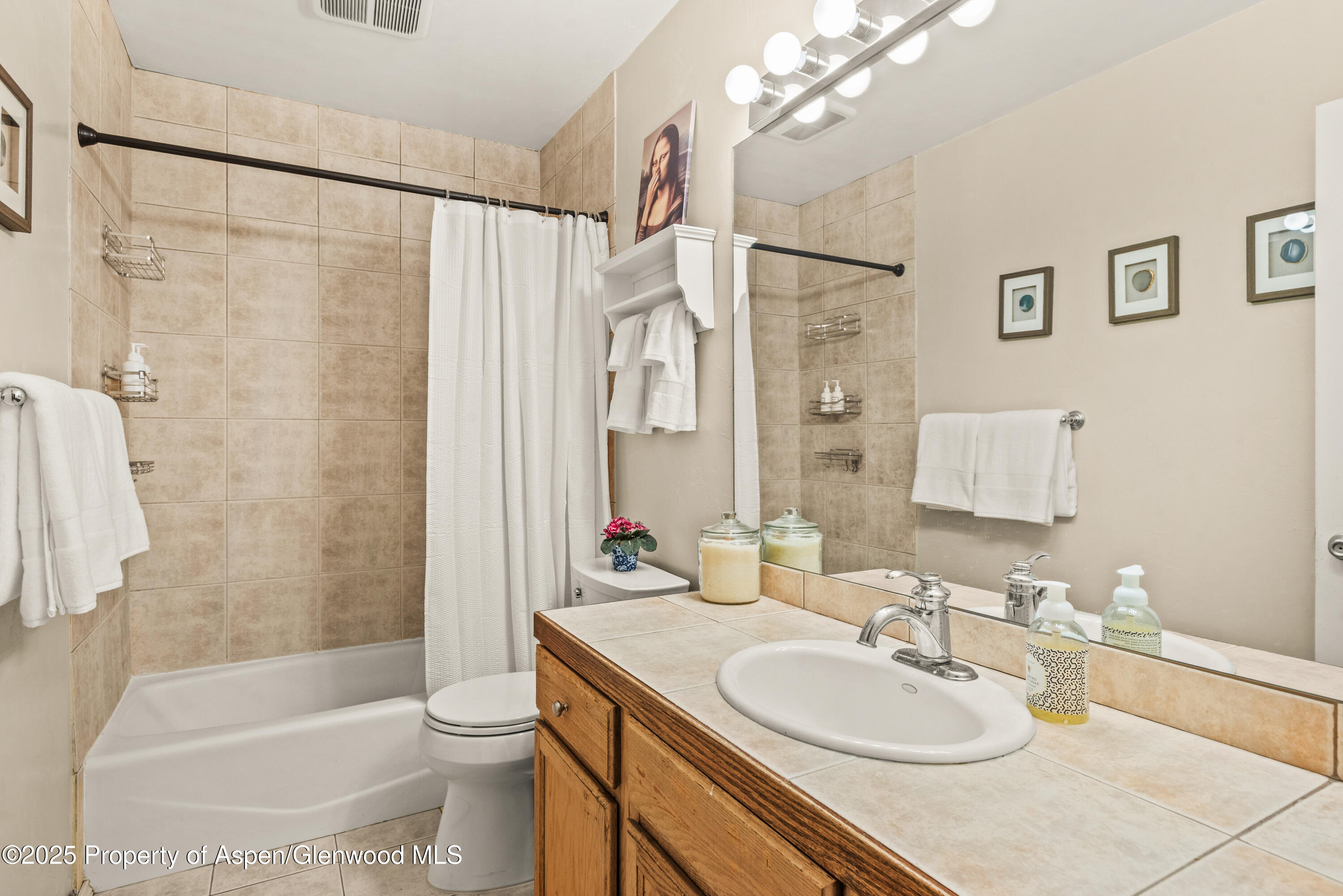 106 Swinging Bridge Lane Basalt, CO 81621 - Photo 8 of 10 a bathroom with a granite countertop sink toilet and shower