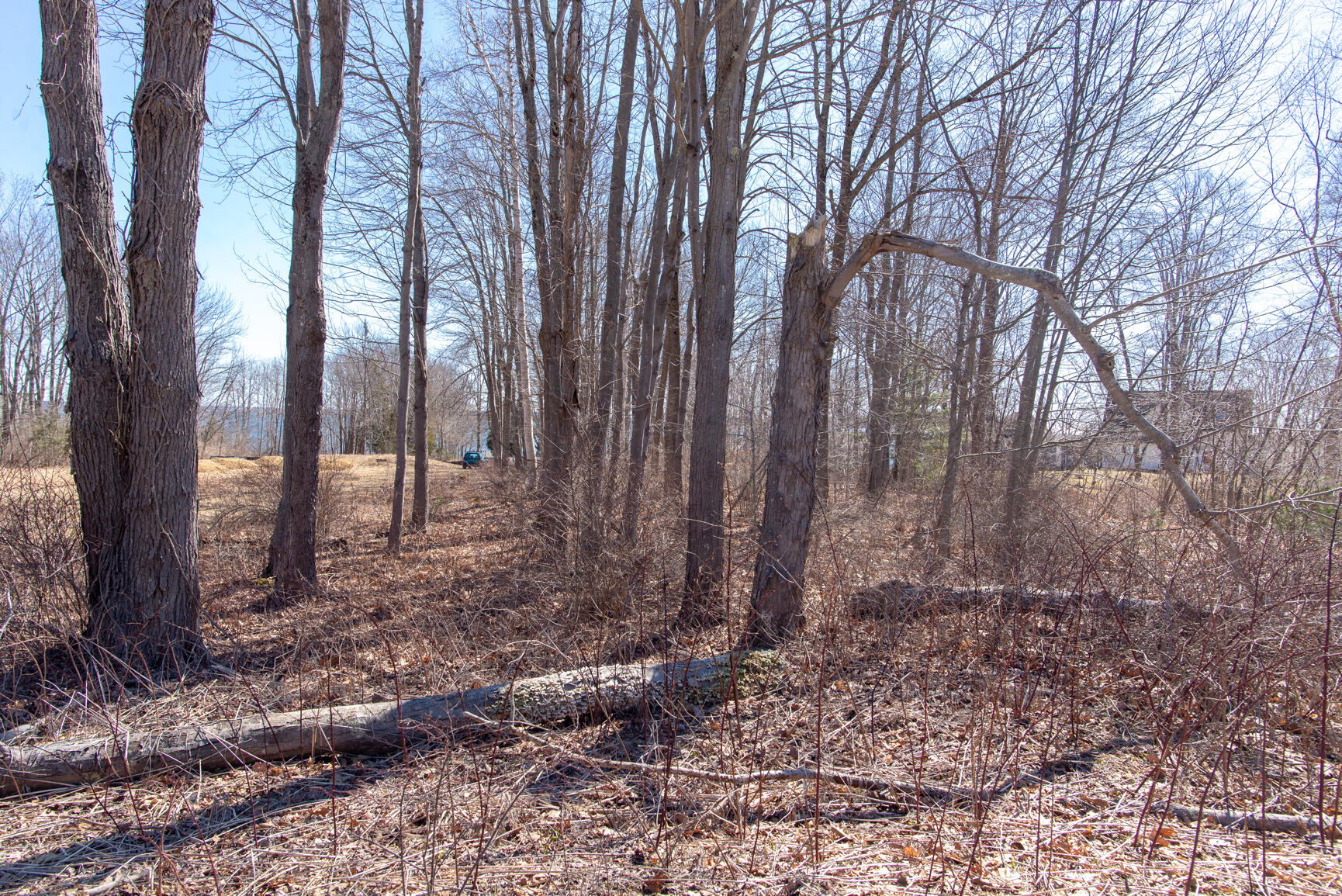 Lot 102 South Road Chebeague Island, ME 04017 - Photo 23 of 26 102-31