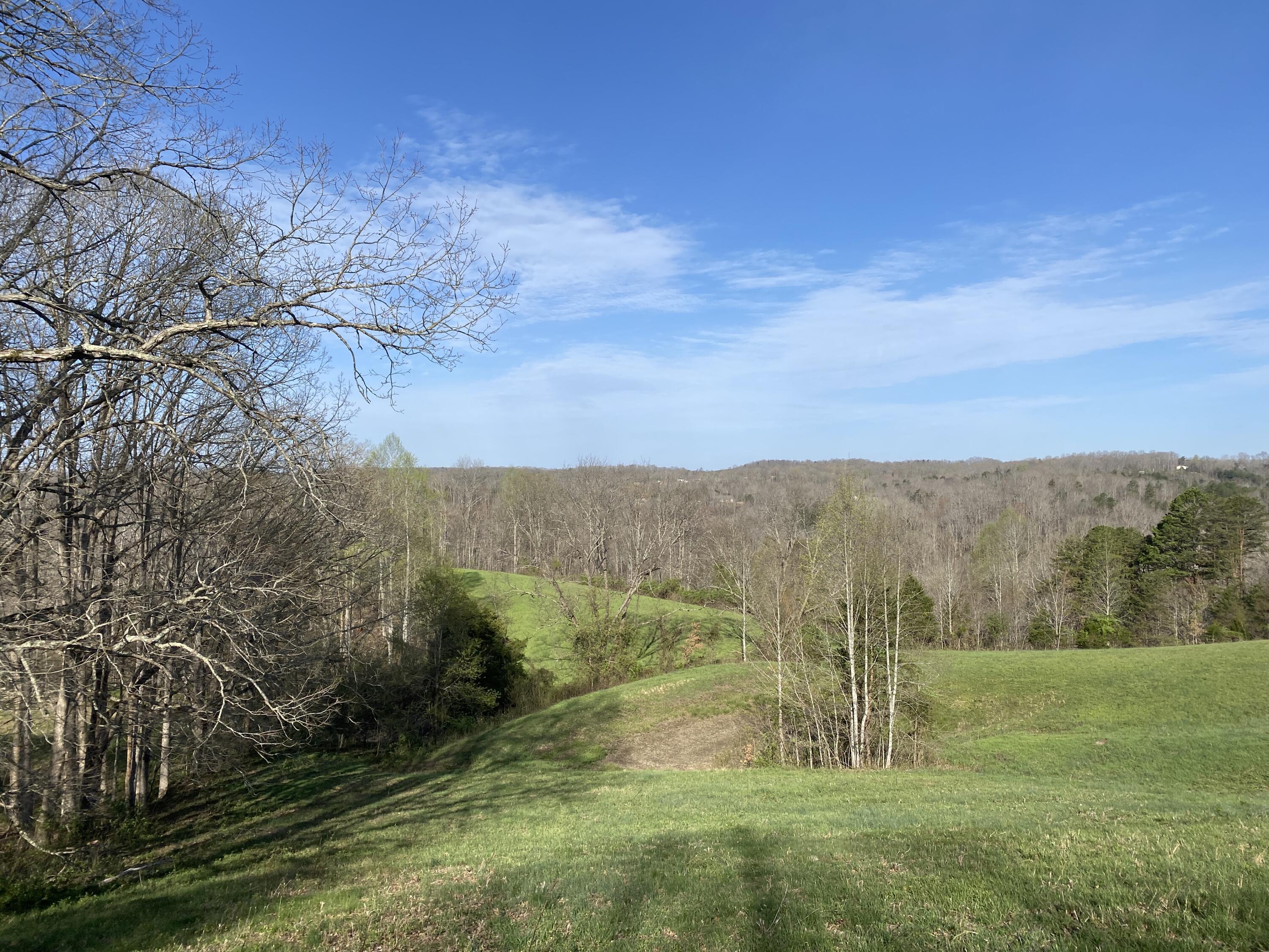 312 Poor Farm Road Beattyville, KY 41311 - Photo 2 of 32 IMG_6664