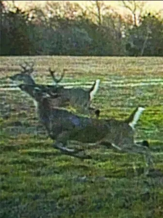 an aerial view of a tennis court