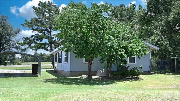 a view of a garden with a tree