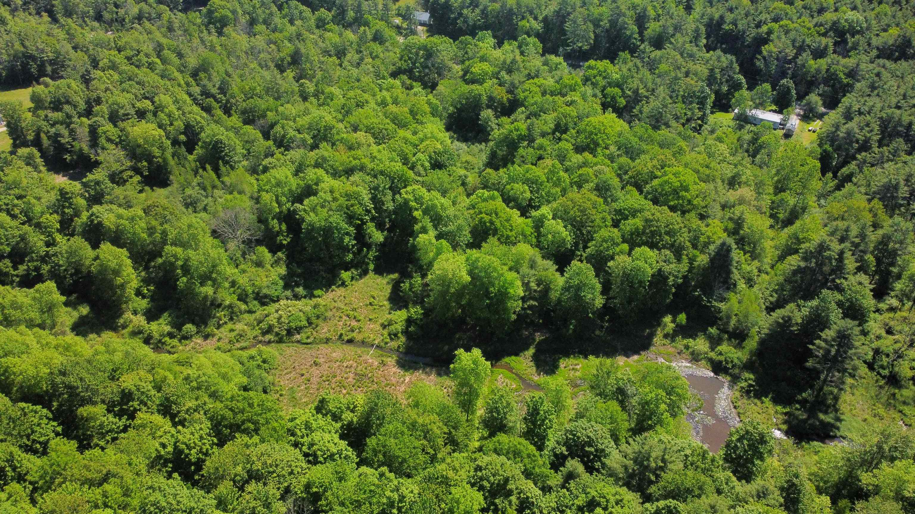 0 Bullfrog Hollow Road Wells, VT 05774 - Photo 13 of 26