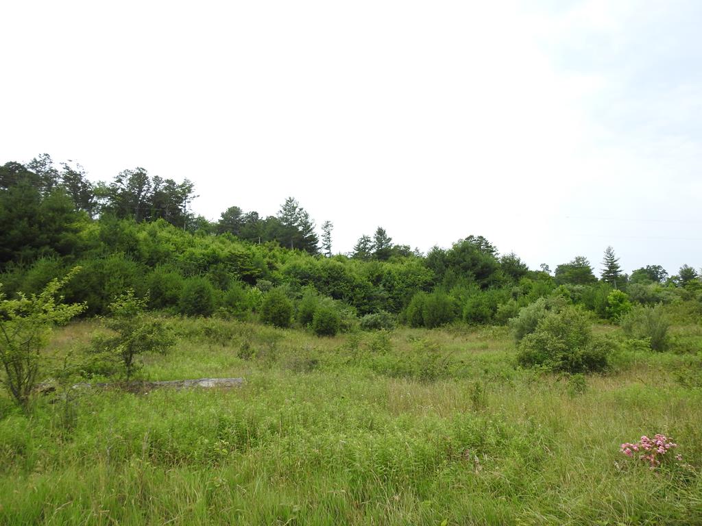 4168 Spring Valley Road Elk Creek, VA 24326 - Photo 28 of 28 Gallery Image 28
