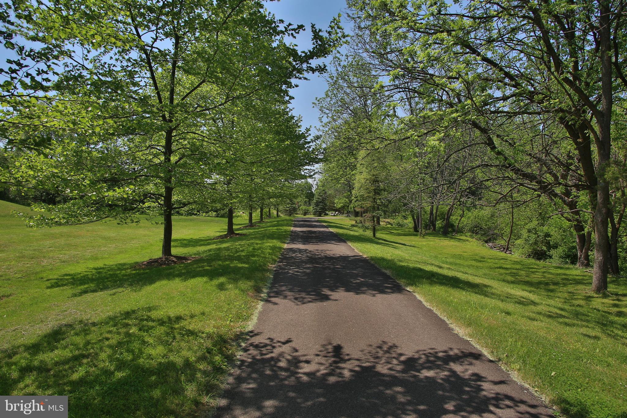 5295 North Branch Road Doylestown, PA 18902 - Photo 22 of 31 Driveway