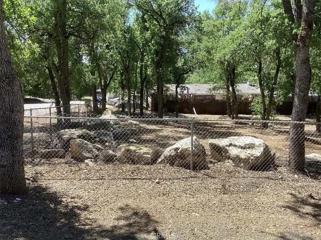 a view of a backyard with large trees