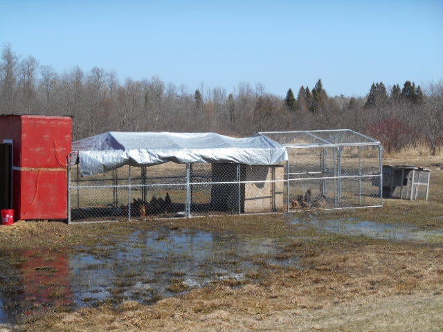 6558 East 15 Mile Road Barbeau, MI 49710 - Photo 3 of 14 Gallery Image 3