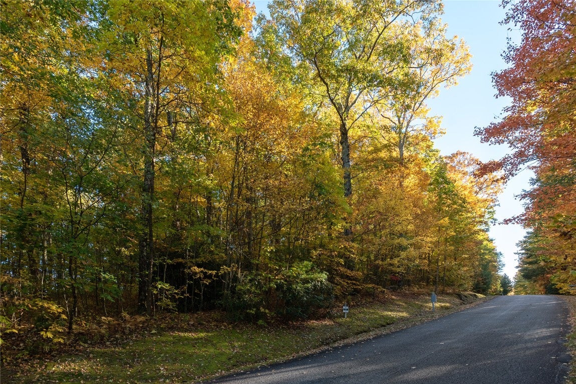 Lot 15 Whitewater Ridge Road Sapphire, NC 28774 - Photo 5 of 17 Gallery Image 5
