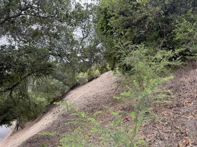 a car parked in front of a house