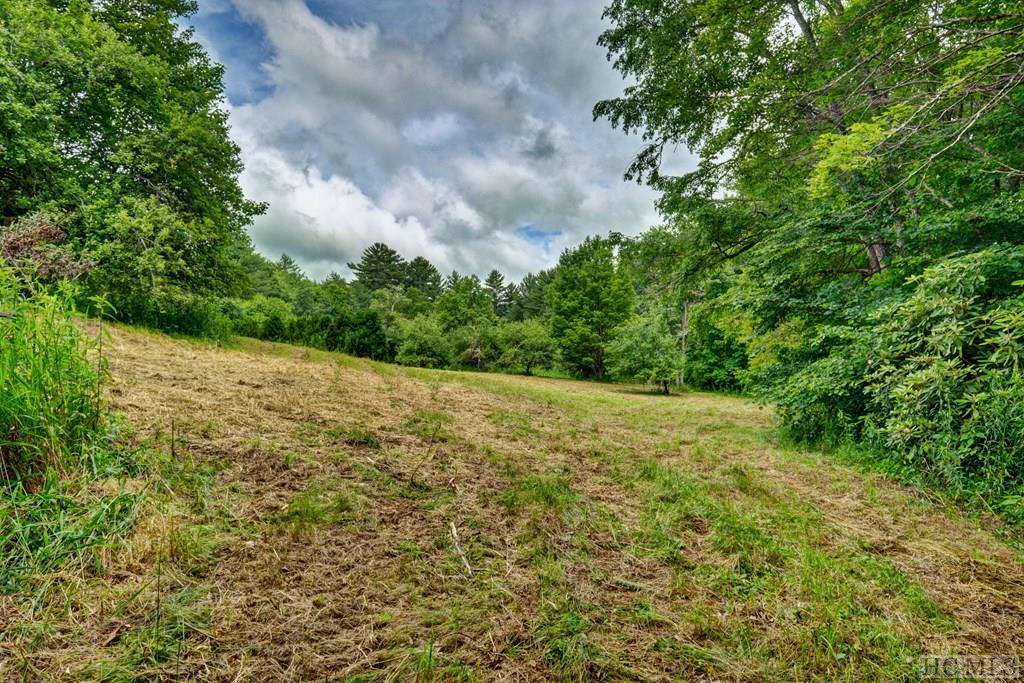 Tract A North Norton Road Cullowhee, NC 28723 - Photo 10 of 18 Gallery Image 10