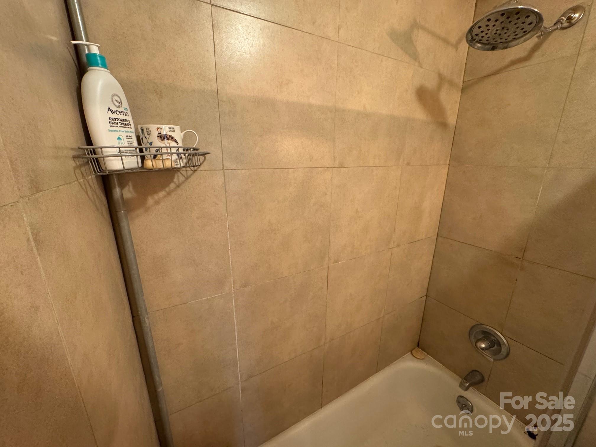 269 East View Road Sylva, NC 28779 - Photo 20 of 28 a bathroom with a shower