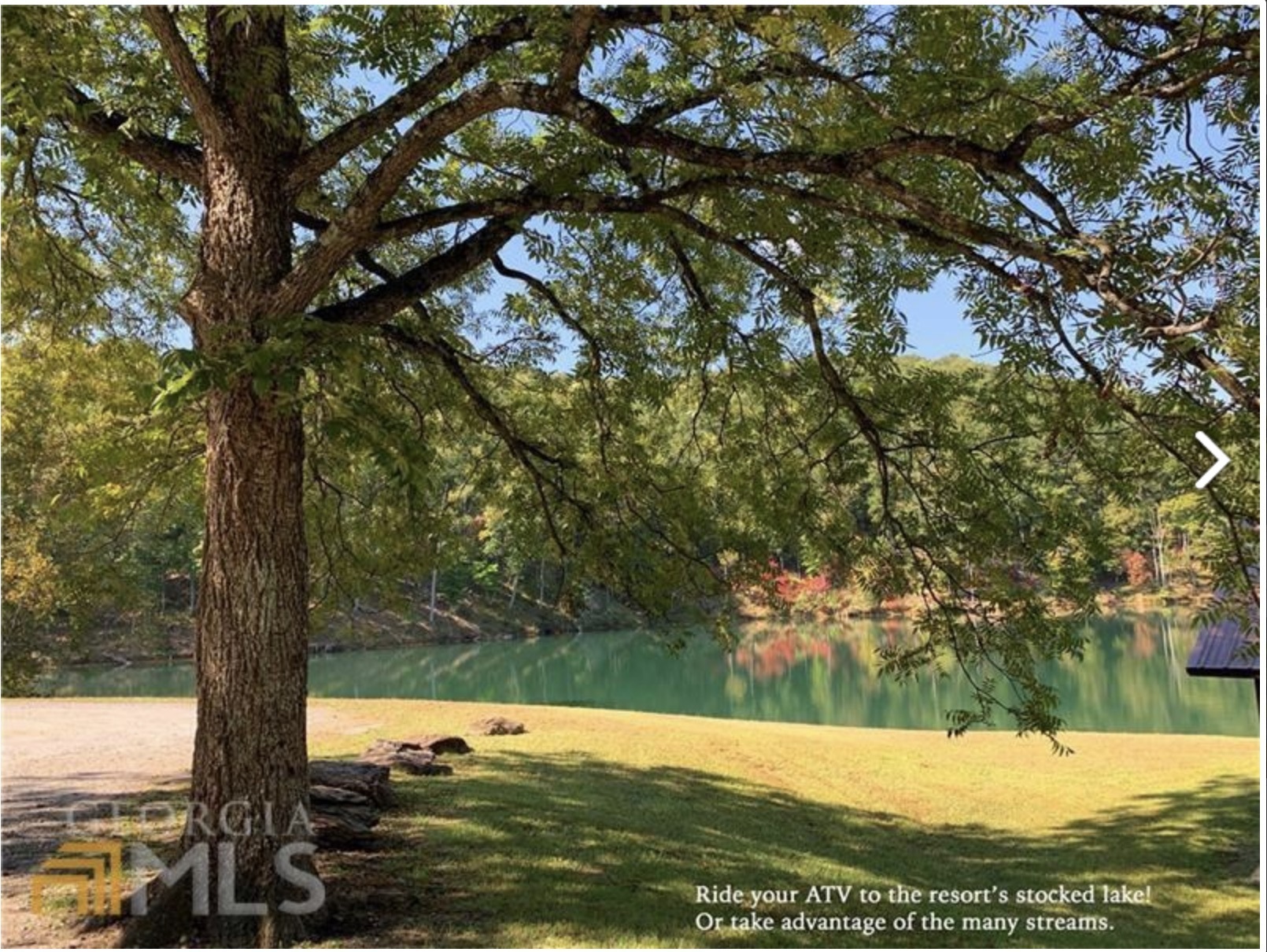 715 Railey Ridge Ranger, GA 30734 - Photo 17 of 33 a view of a yard with an trees