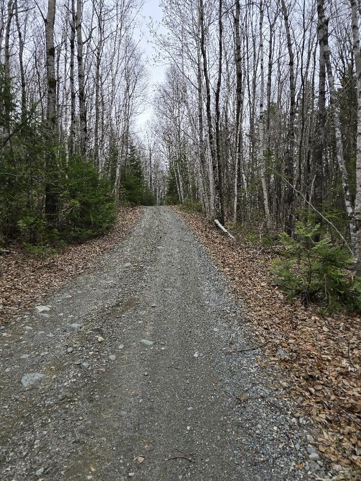 Lot 18-5 Camp Rd Mount Mount Chase, ME 04765 - Photo 5 of 14 20250506_143723