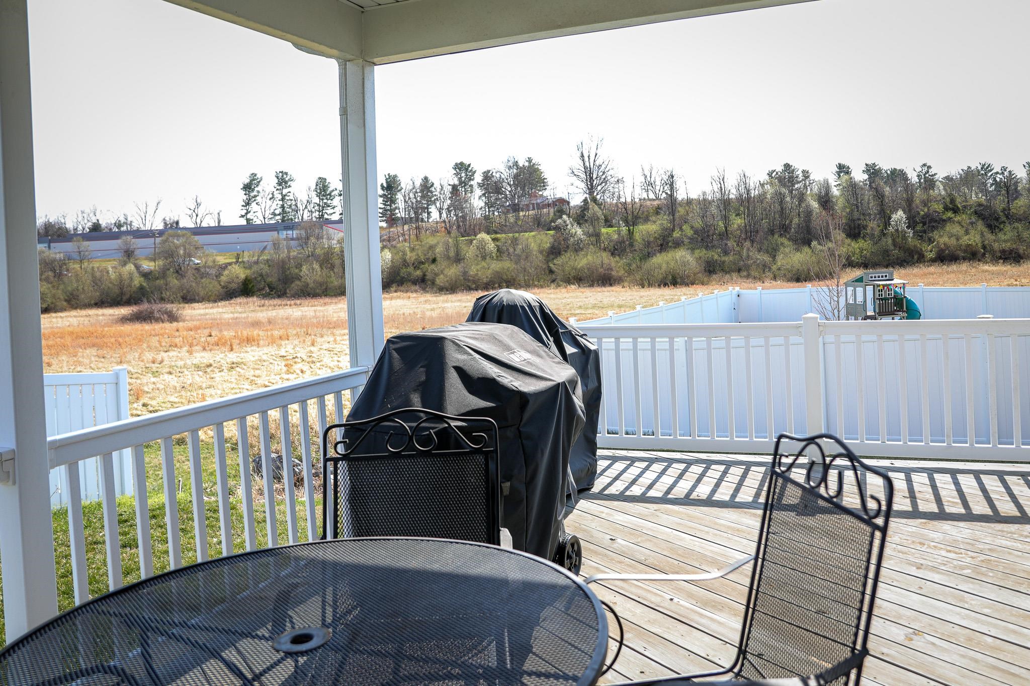 145 Paige Street Waynesboro, VA 22980 - Photo 11 of 58