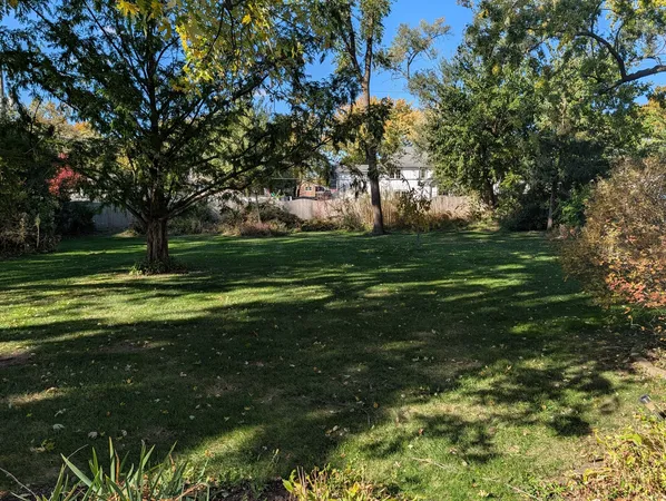 a garden view with a fountain