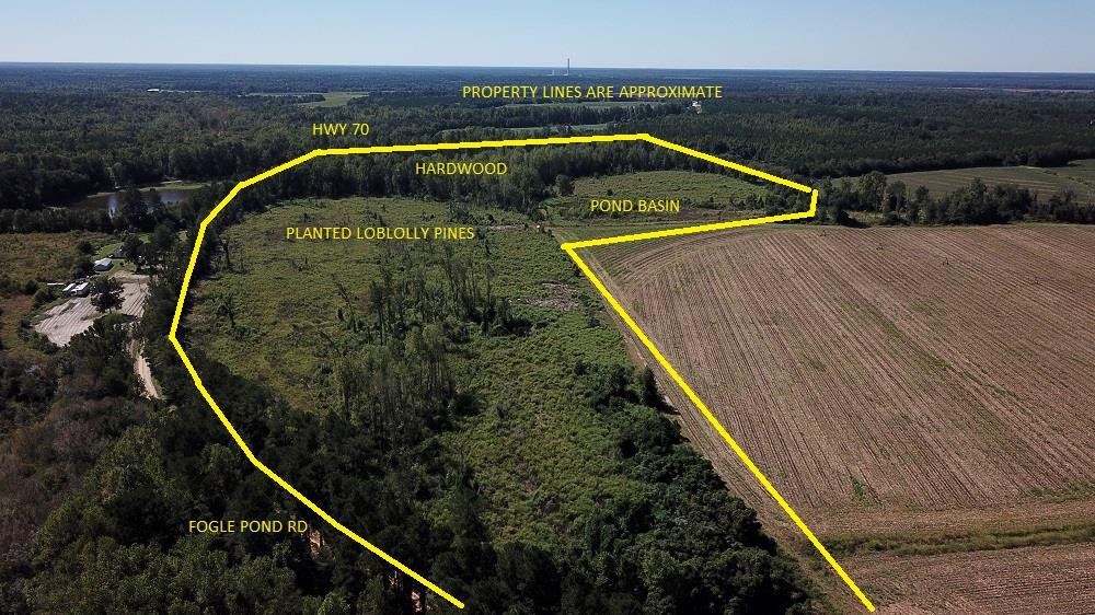 Fogle Pond Road Cope, SC 29038 - Photo 1 of 9 Main View