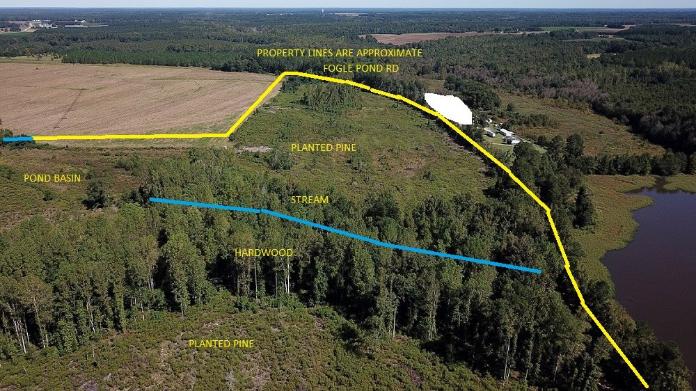 Fogle Pond Road Cope, SC 29038 - Photo 2 of 9 Photo 2