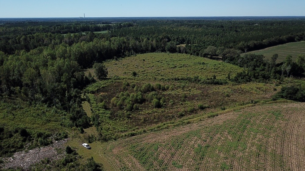 Fogle Pond Road Cope, SC 29038 - Photo 5 of 9 Photo 5