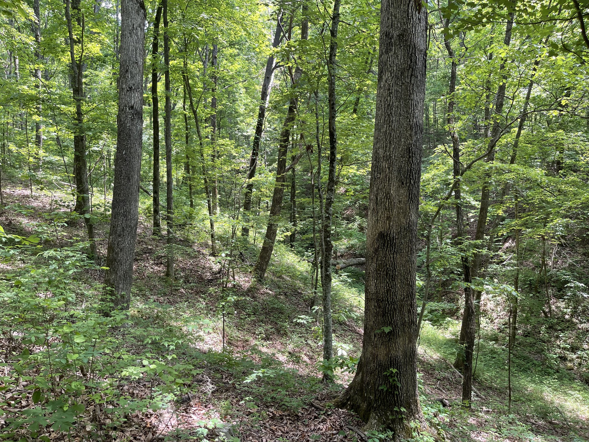 328 James Turner Road Tracy City, TN 37387 - Photo 16 of 16