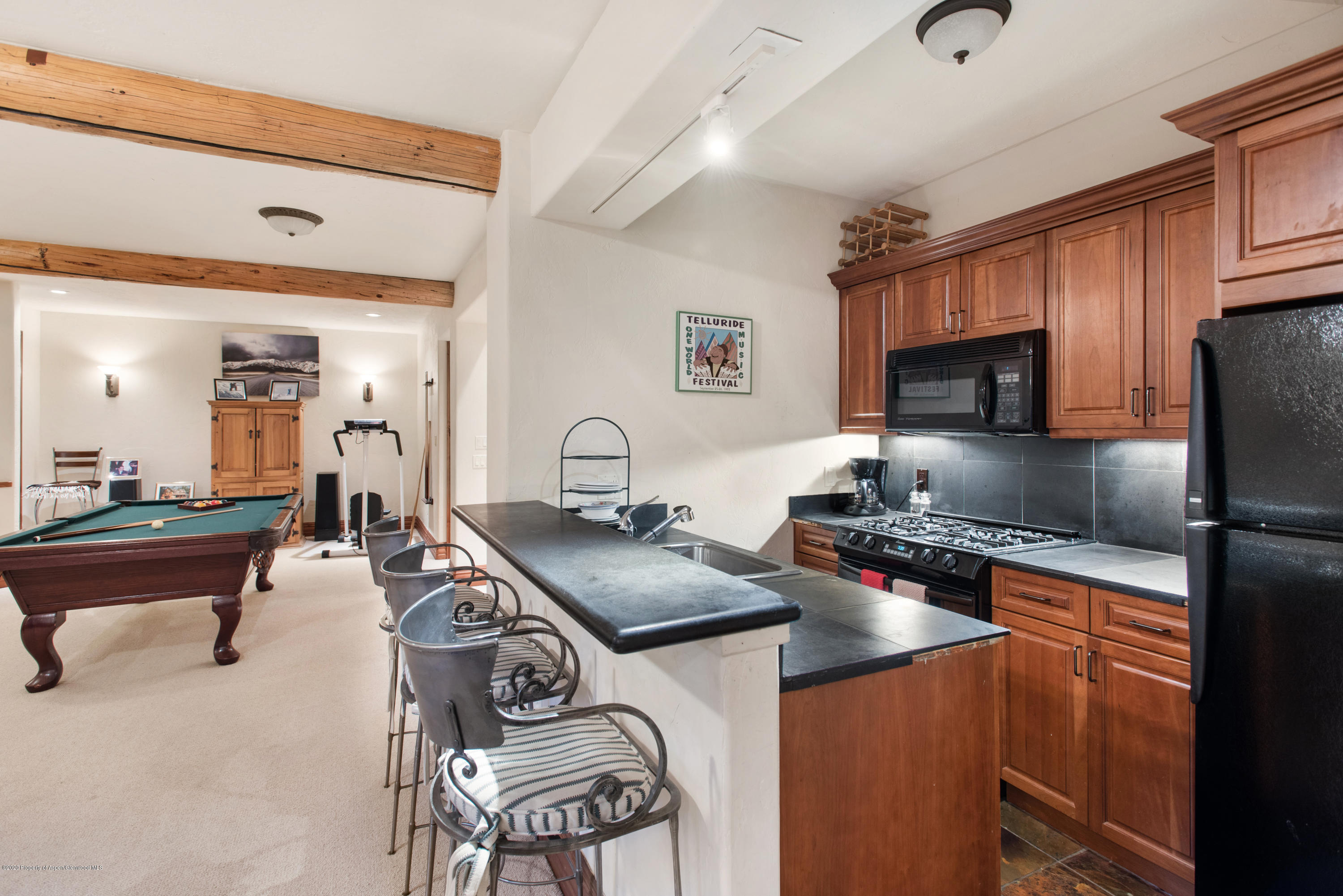 295 Silverlode Drive Aspen, CO 81611 - Photo 14 of 31 295 Silverlode Dr Aspen CO-print-014-008