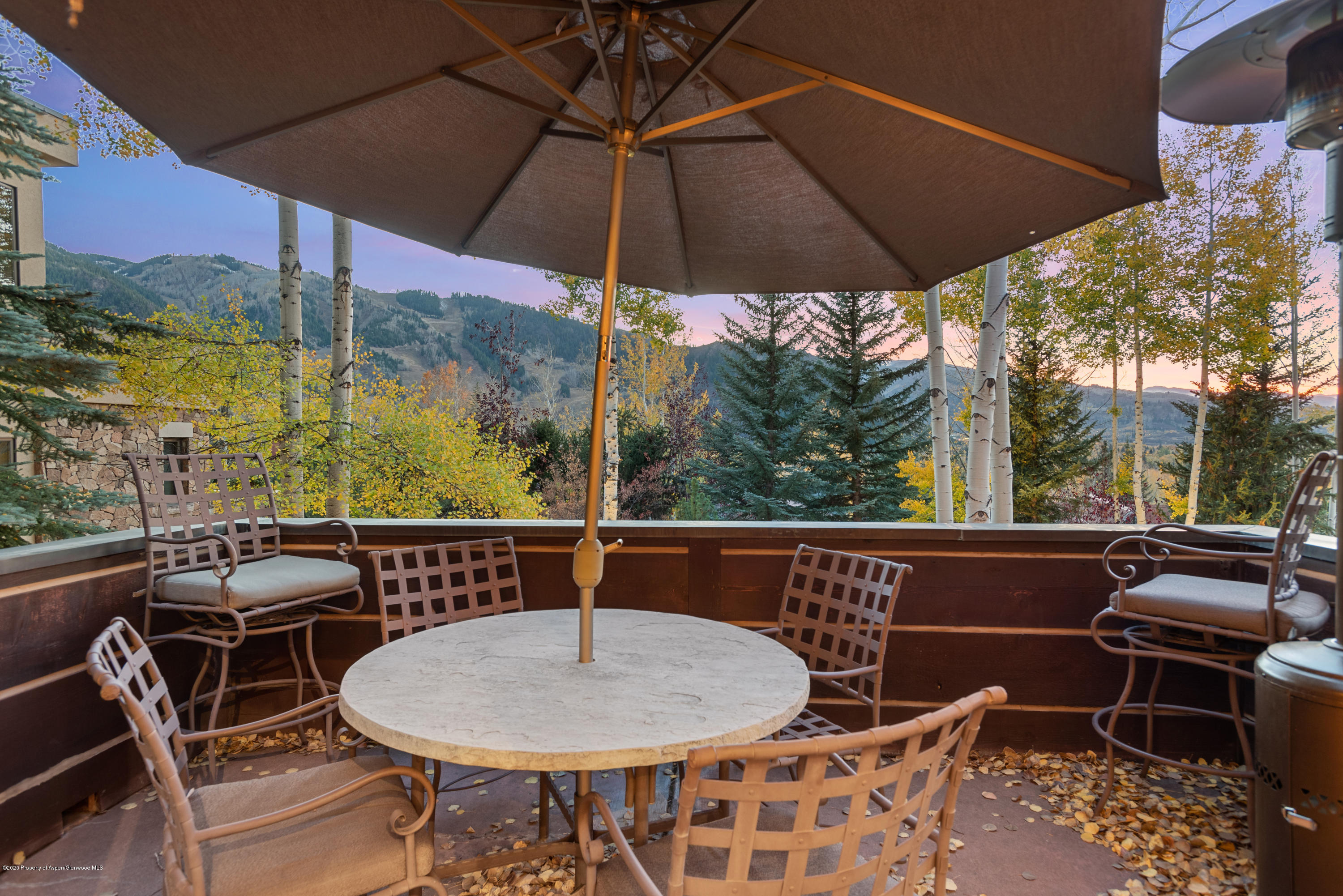 295 Silverlode Drive Aspen, CO 81611 - Photo 2 of 31 295 Silverlode Dr Aspen CO-print-002-021