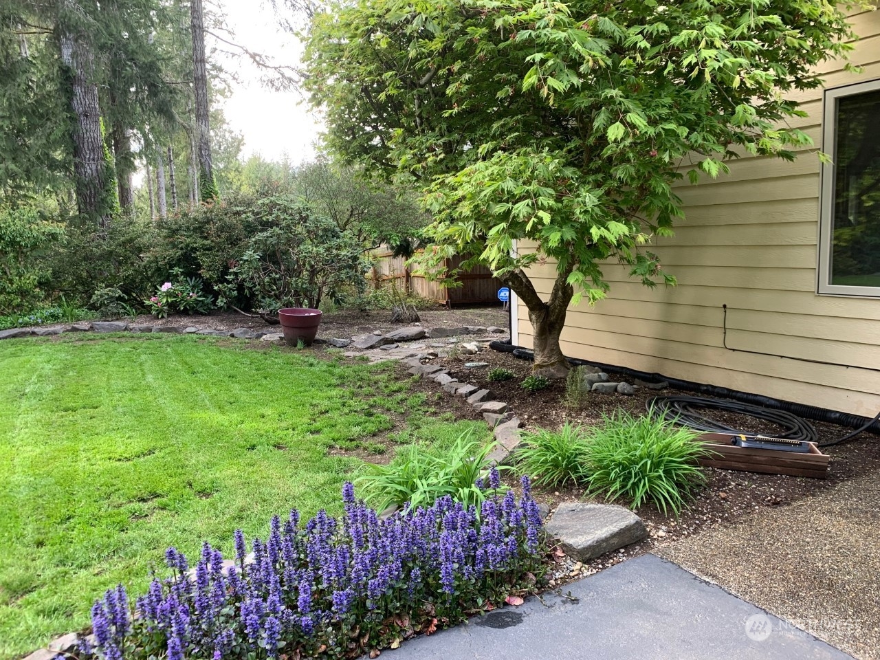240 East Channel Drive Allyn, WA 98524 - Photo 21 of 33 a view of a backyard with potted plants and large trees