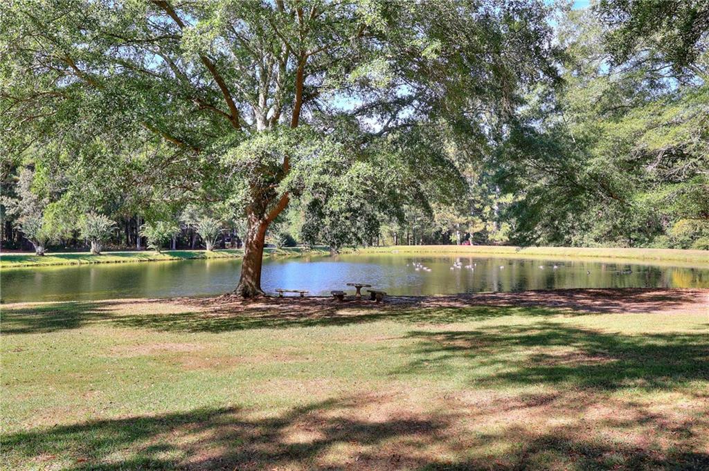 3520 Tom Brewer Road Loganville, GA 30052 - Photo 3 of 47