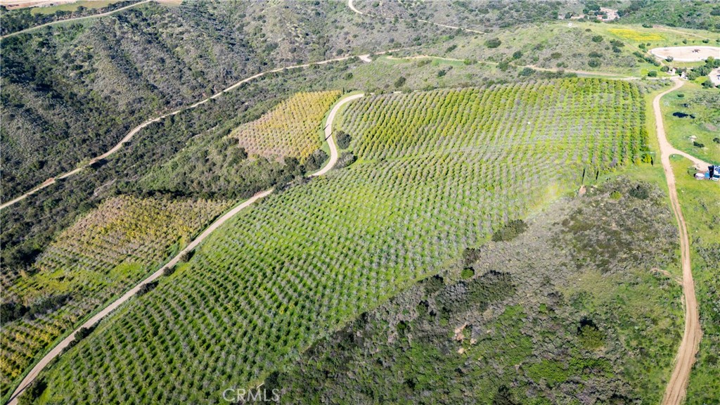 39250 Ortega Highway Fallbrook, CA 92028 - Photo 55 of 59 a view of a swimming pool with a yard