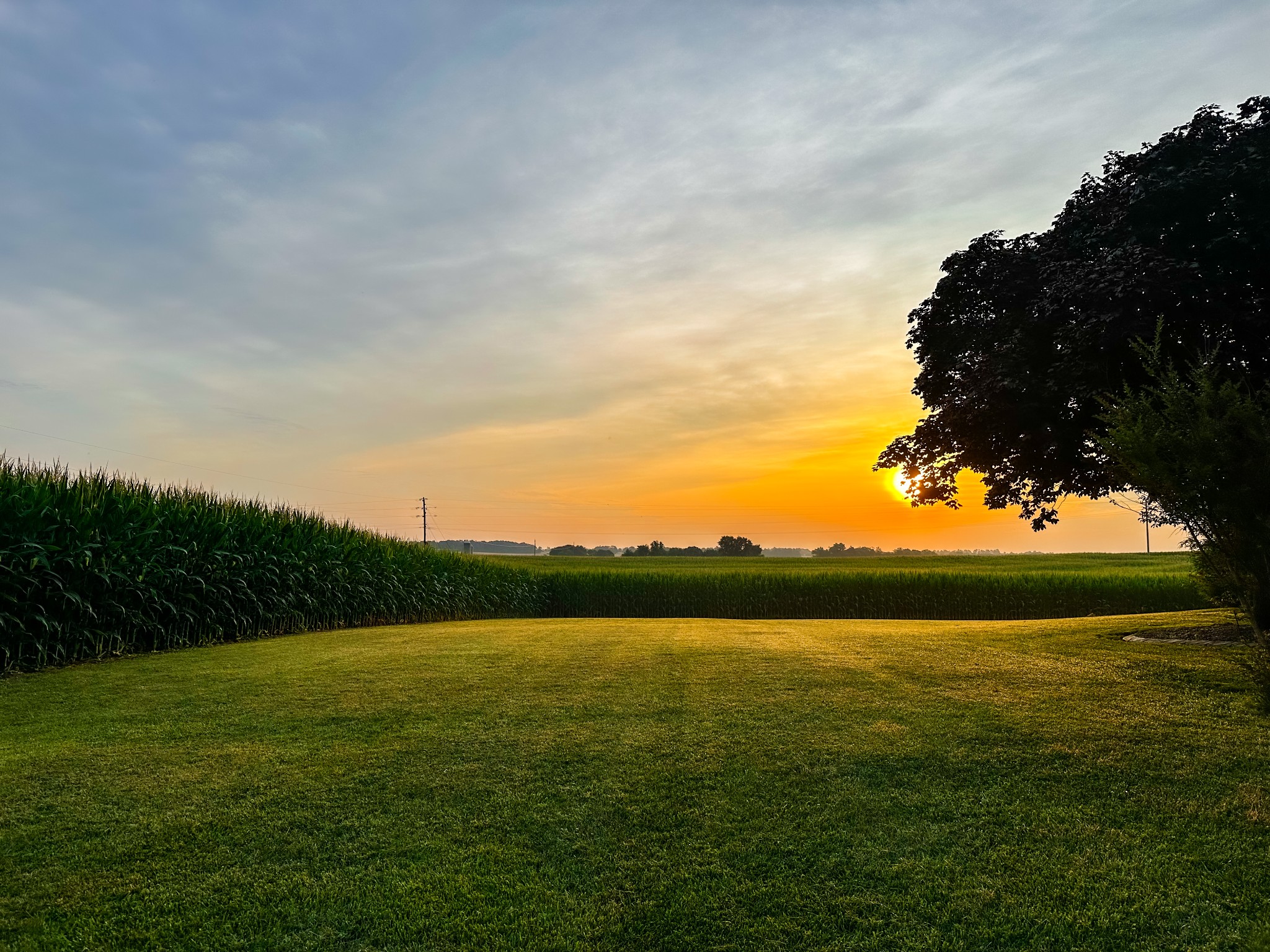 10814 Clarksville Road Olmstead, KY 42265 - Photo 52 of 55 a view of an ocean from a yard