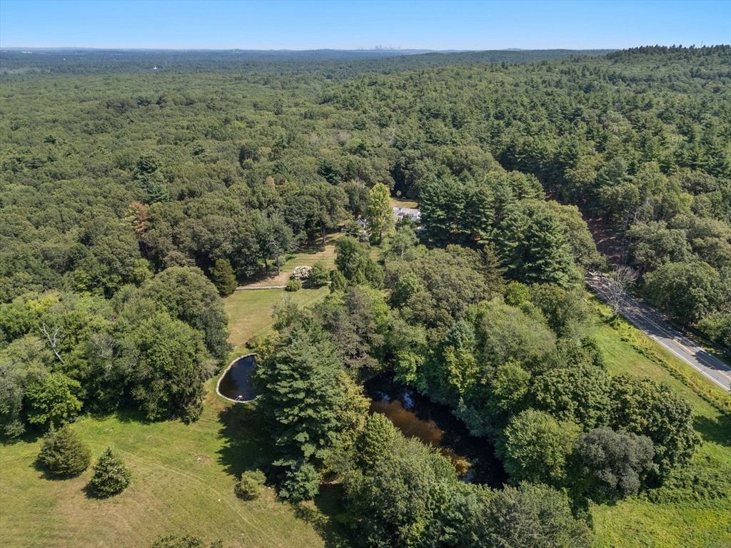 157 Centre Street Dover, MA 02030 - Photo 39 of 42 a view of a forest with a street