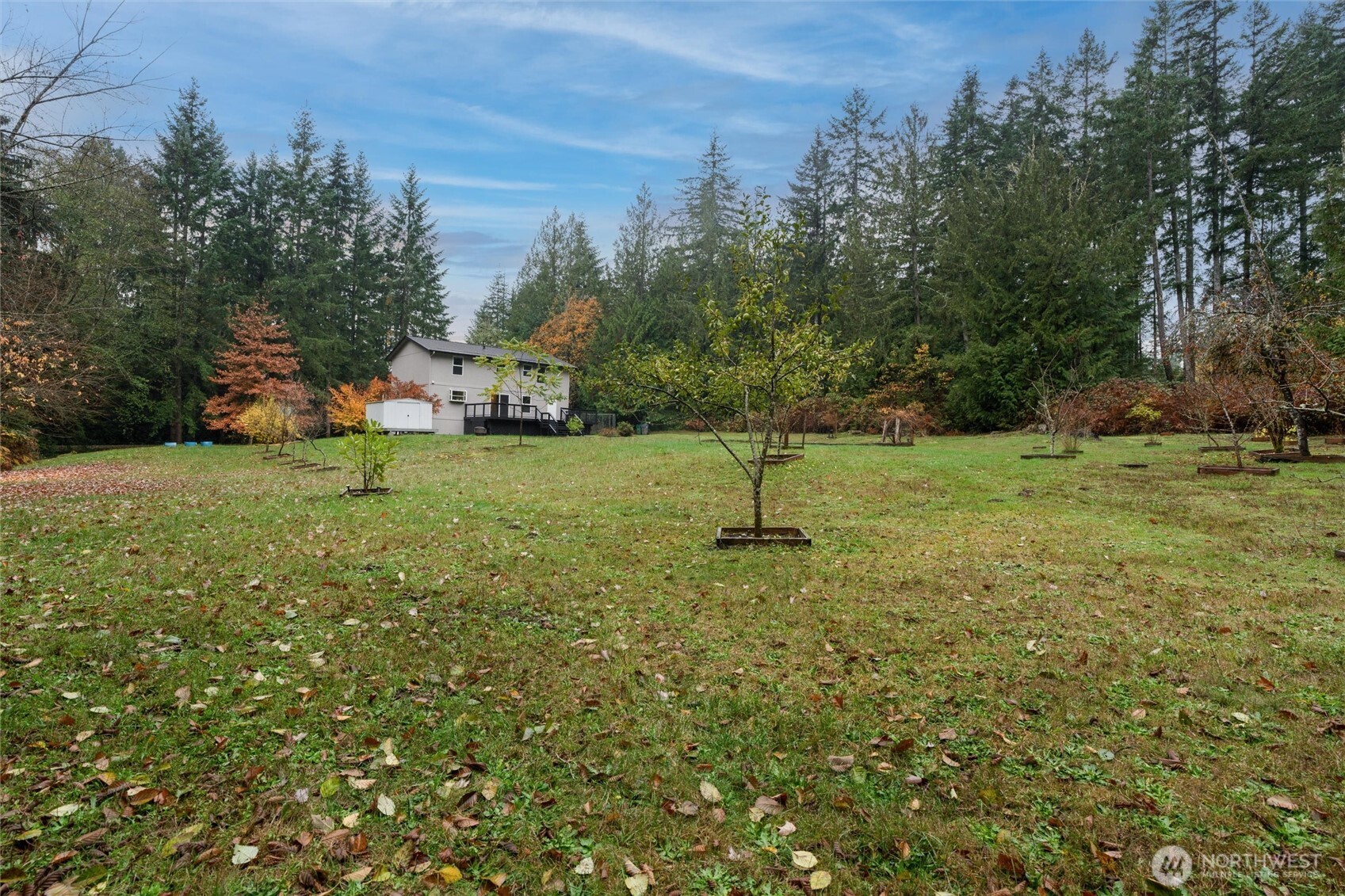 5735 Southeast Alpine Road Olalla, WA 98359 - Photo 34 of 40 a view of a tree in a yard