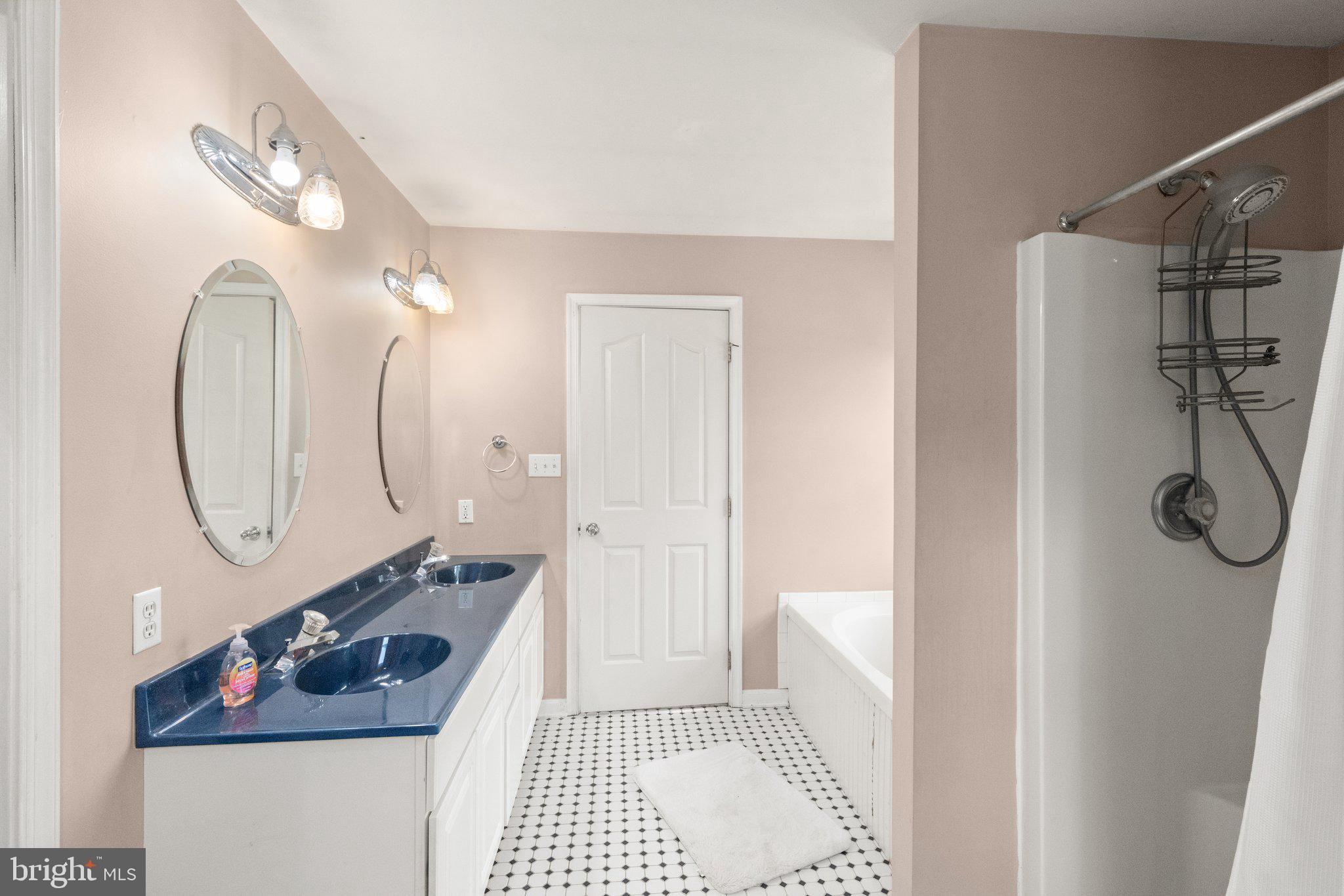 40 Stubb Road Rising Sun, MD 21911 - Photo 16 of 39 a bathroom with a sink and a mirror