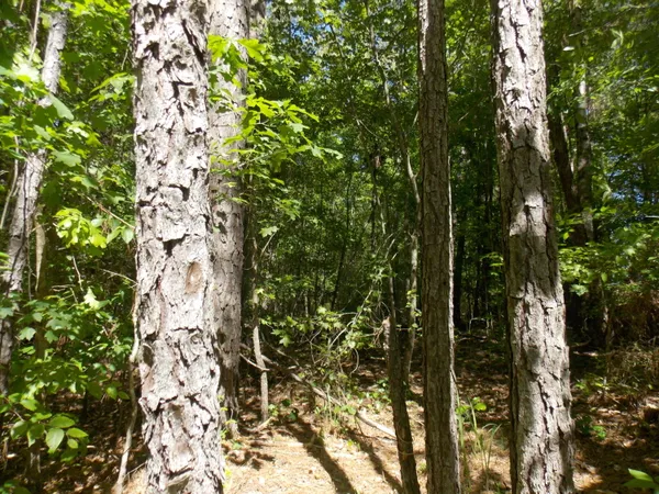 $12,000 | 12 Doe Run, Tignall, GA 30668