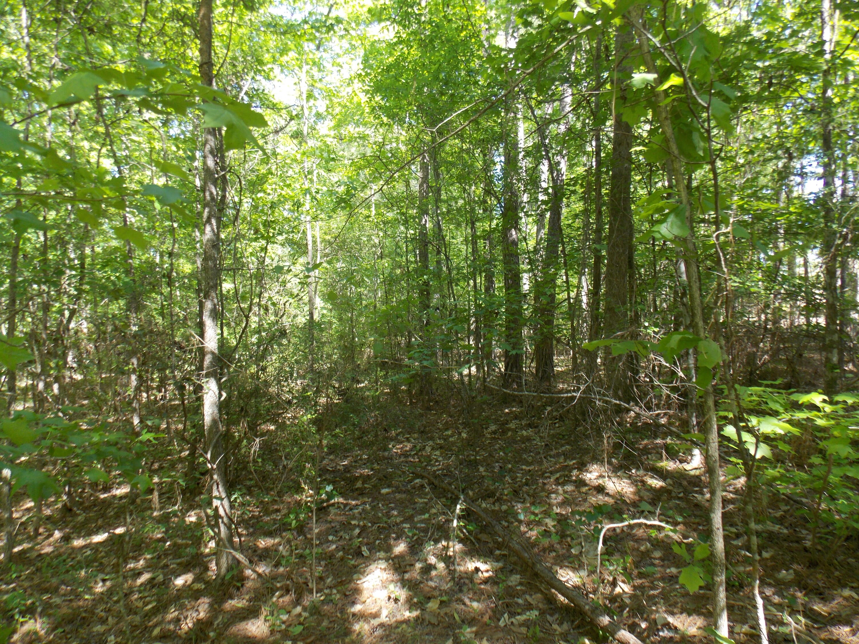 12 Doe Run Tignall, GA 30668 - Photo 2 of 3 DSCN3088