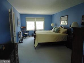 1942 East Beech Road Sterling, VA 20164 - Photo 13 of 25 Owners suite with walk in closet