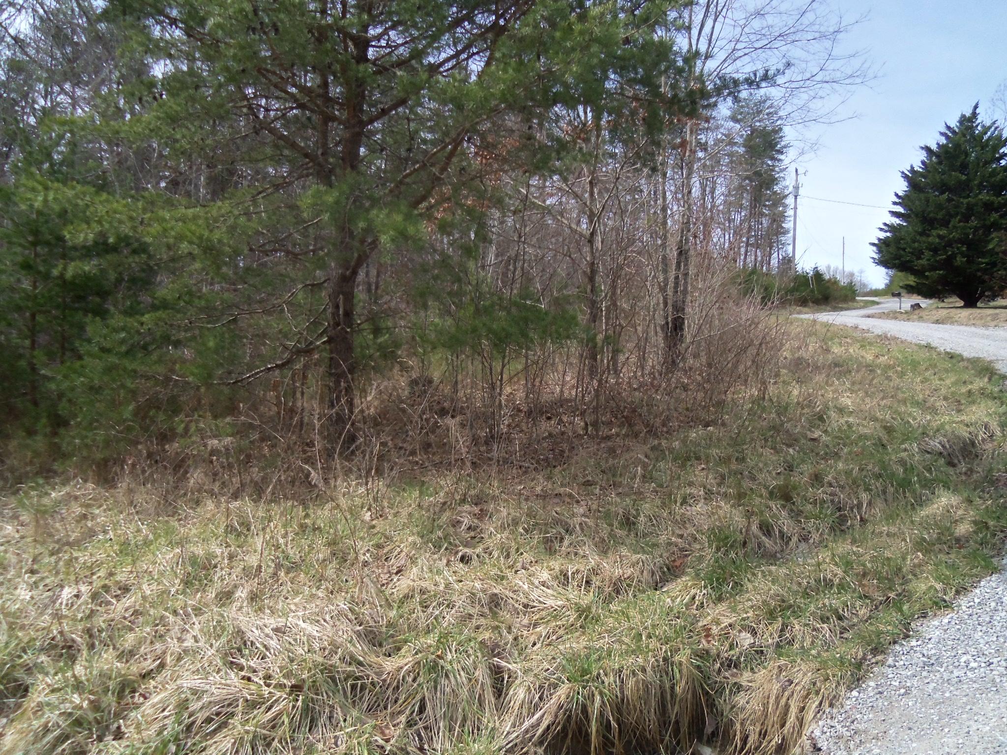 525 Green Road Graysville, TN 37338 - Photo 3 of 18 100_2387