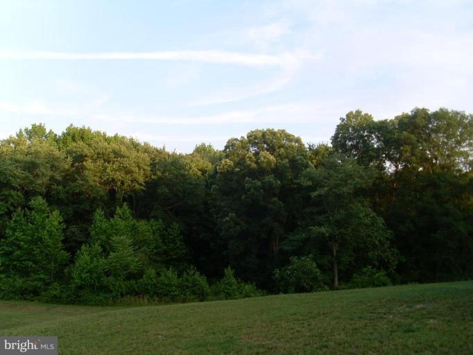 1739 Waltman Road Edgewood, MD 21040 - Photo 14 of 18 Back yard