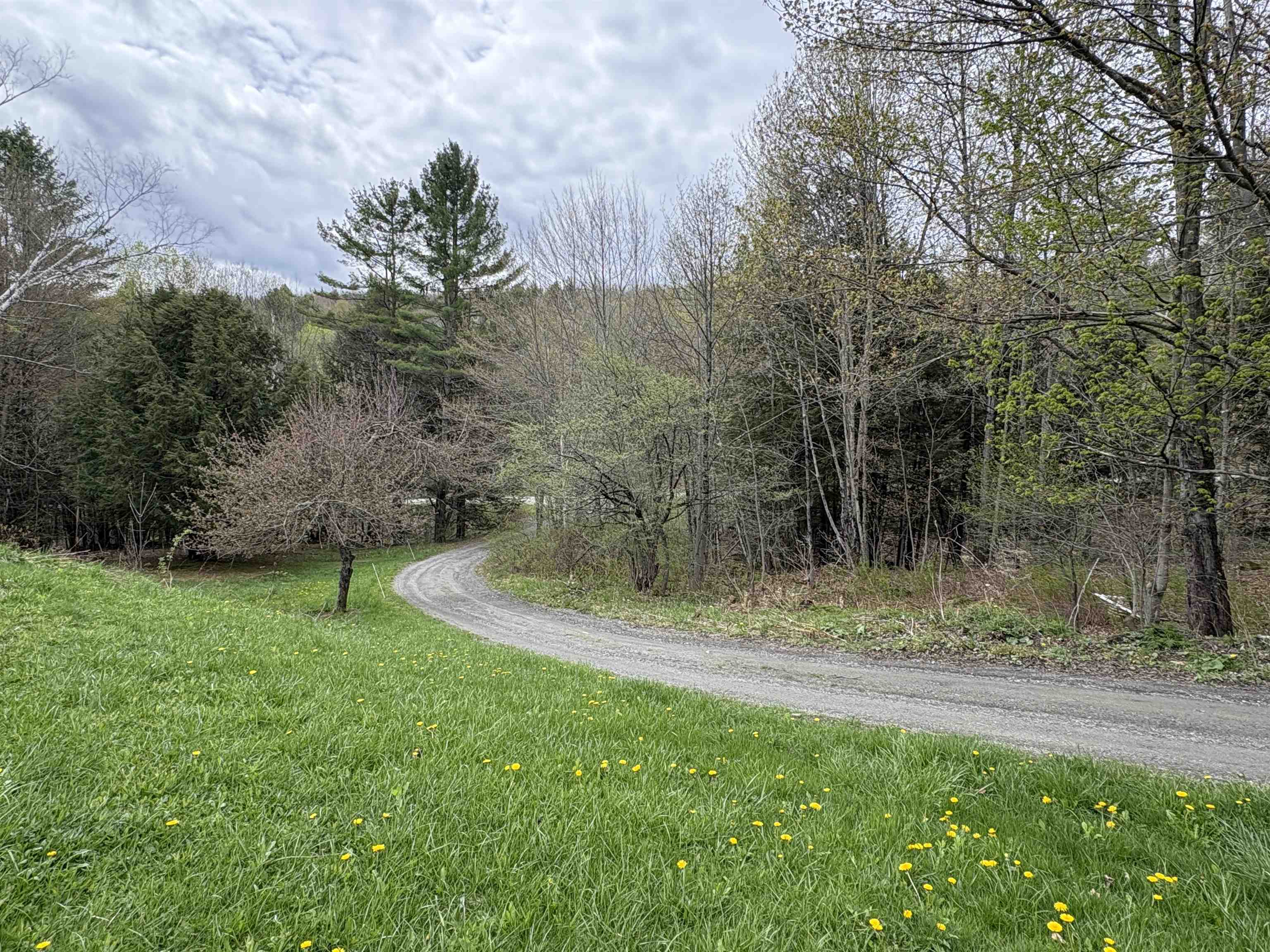 1250 Braintree Hill Road Braintree, VT 05060 - Photo 45 of 47