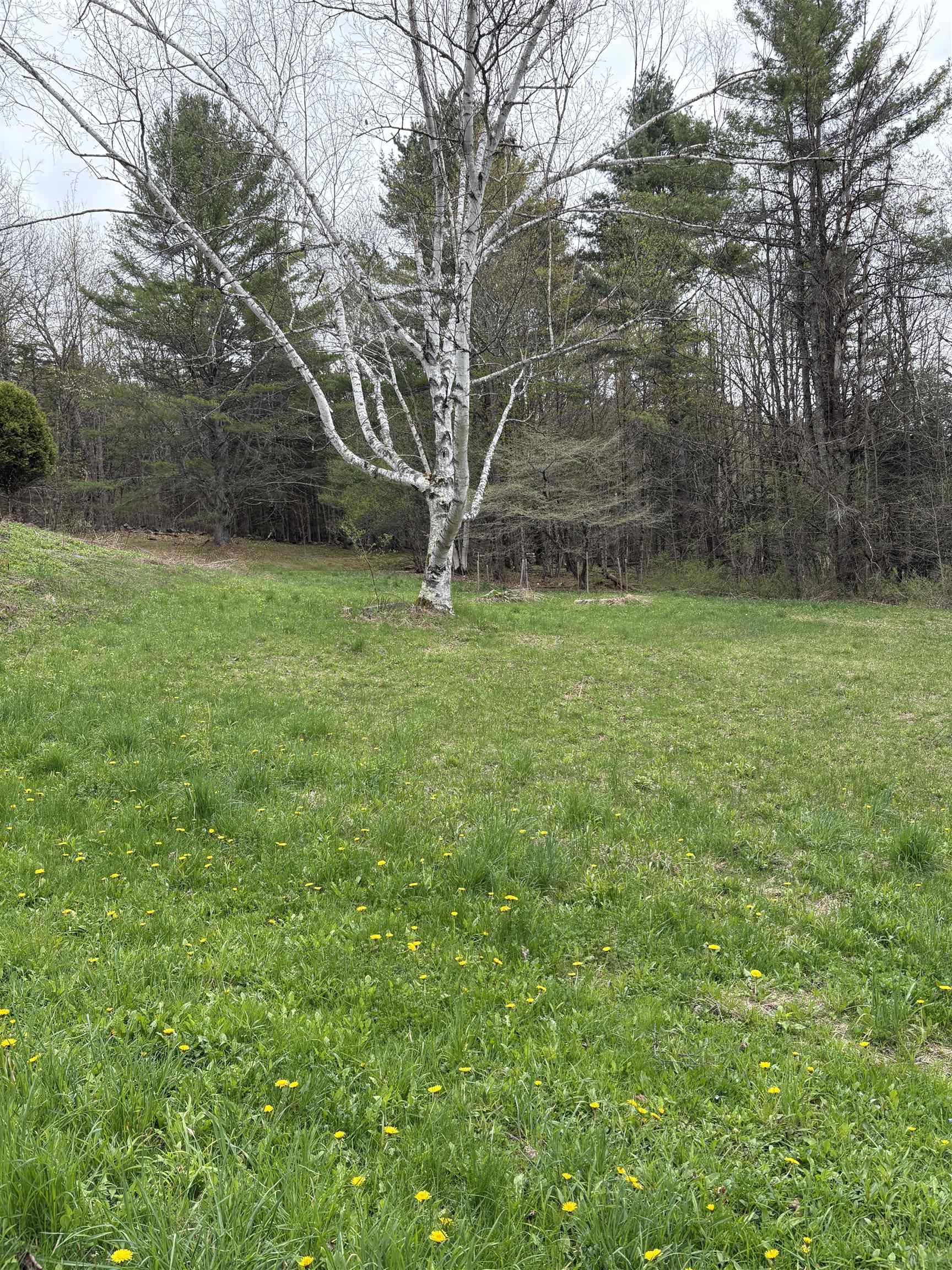 1250 Braintree Hill Road Braintree, VT 05060 - Photo 46 of 47