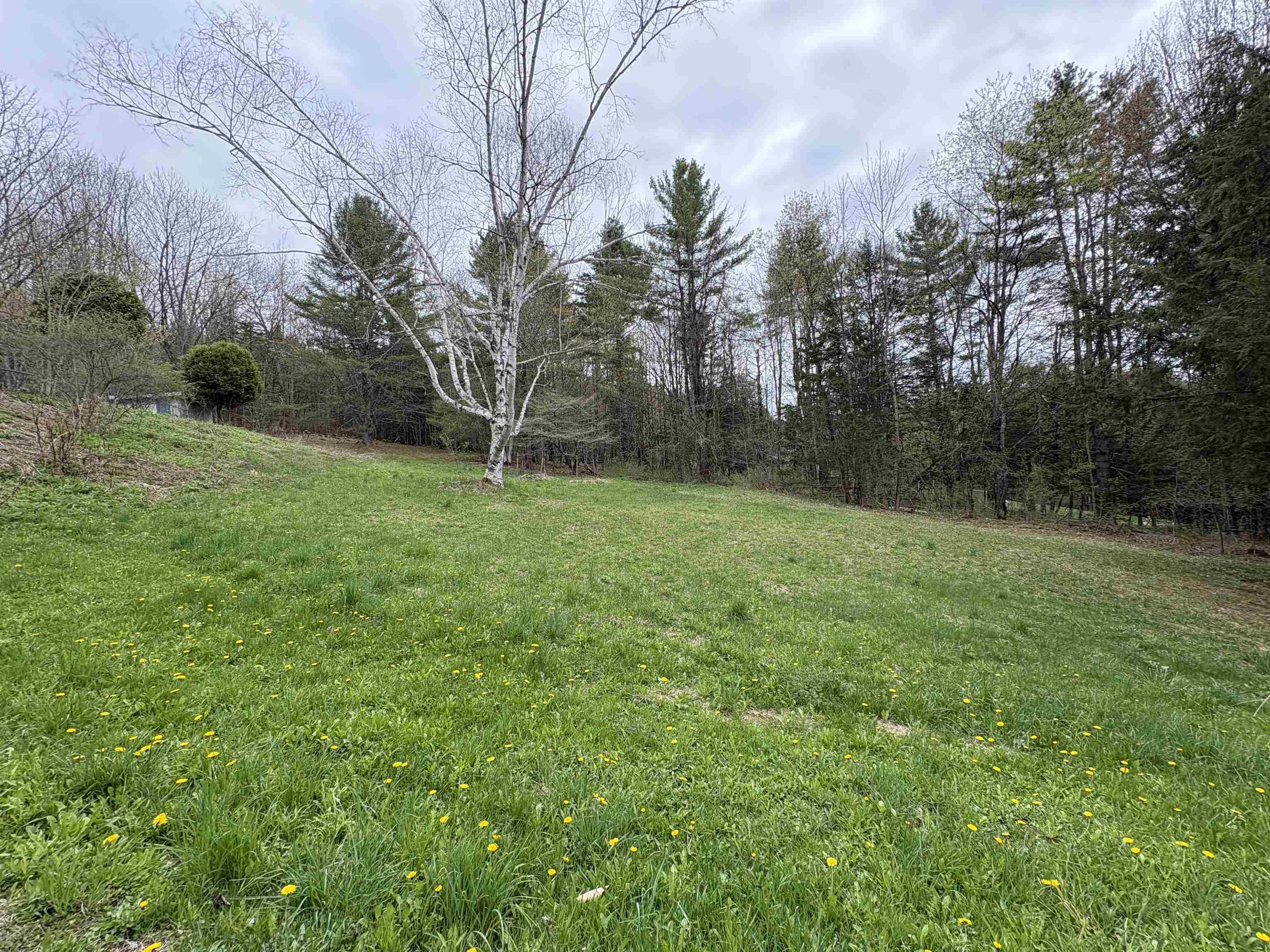 1250 Braintree Hill Road Braintree, VT 05060 - Photo 47 of 47