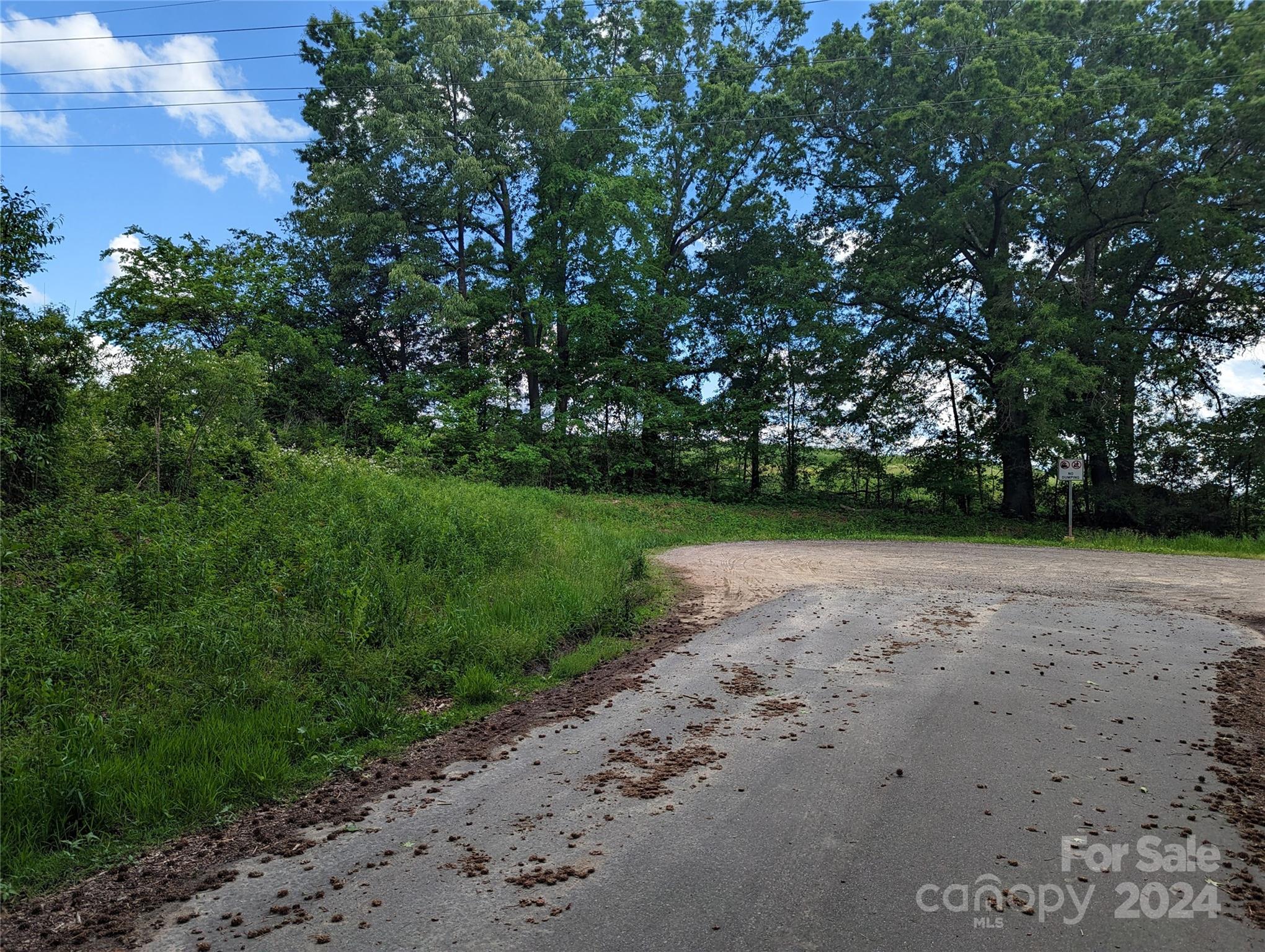 229 Boger Court Southwest Concord, NC 28025 - Photo 2 of 6 a view of a yard with a tree